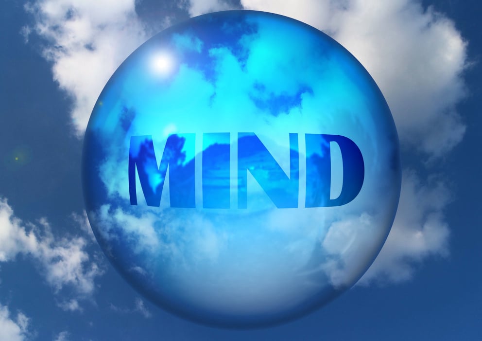 The Intellect's Dialogue | Consult You